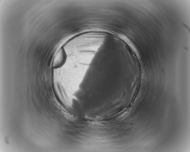 X0000102491004200808291645