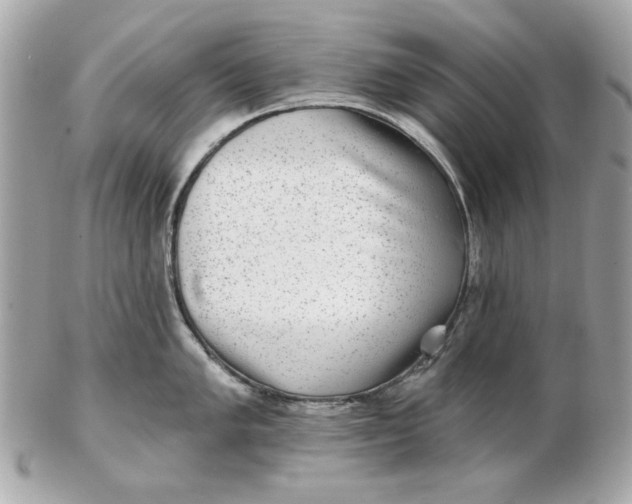 X0000102491005200808291645