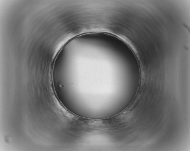 X0000102491006200808291645