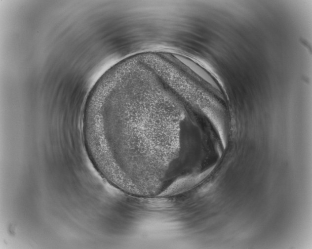 X0000102491007200808291645