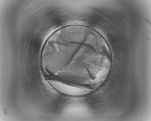 X0000102491008200808291645