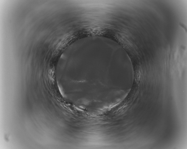 X0000102491010200808291644