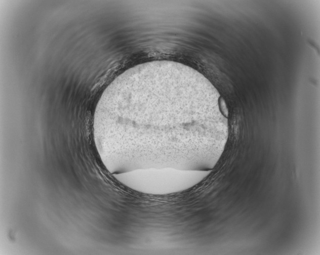 X0000102491012200808291644