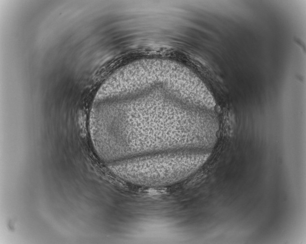 X0000102491013200808291644