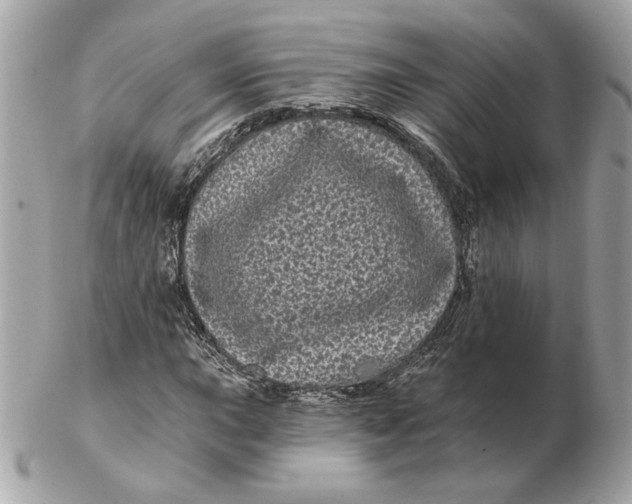 X0000102491015200808291644