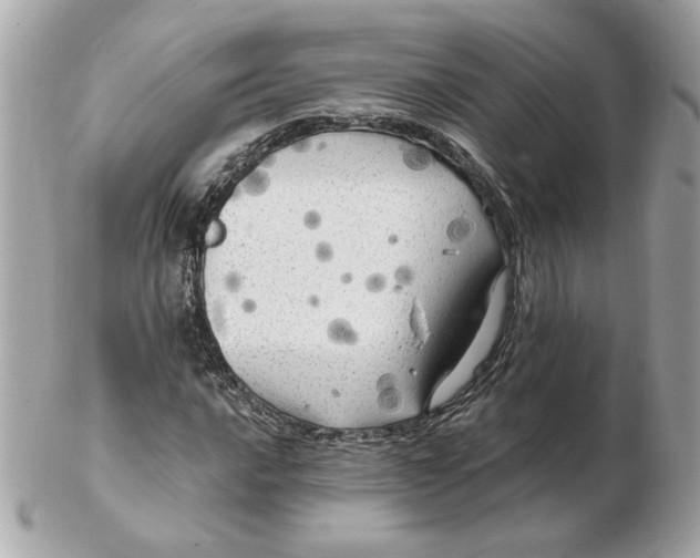 X0000102491016200808291644