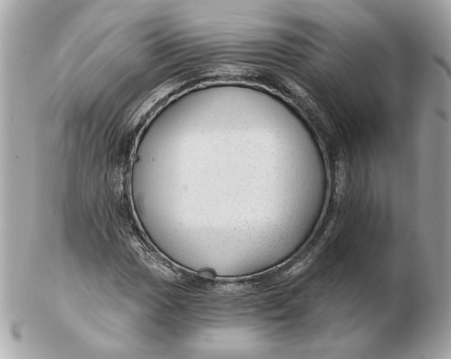 X0000102491017200808291644