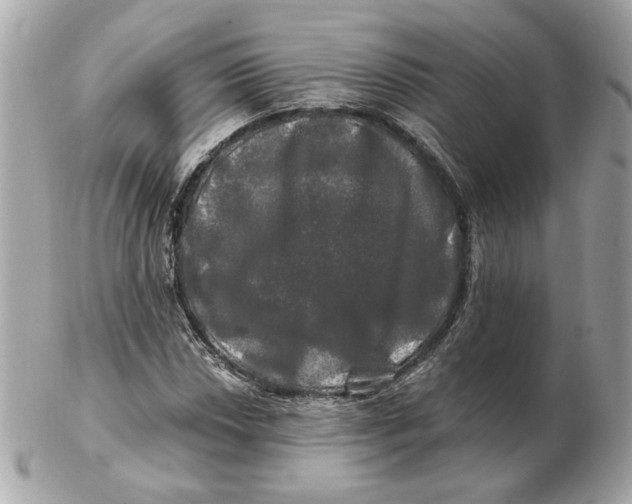 X0000102491018200808291644