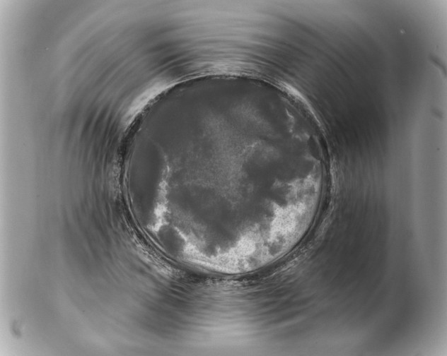 X0000102491019200808291644