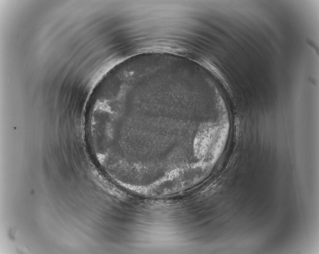 X0000102491020200808291644