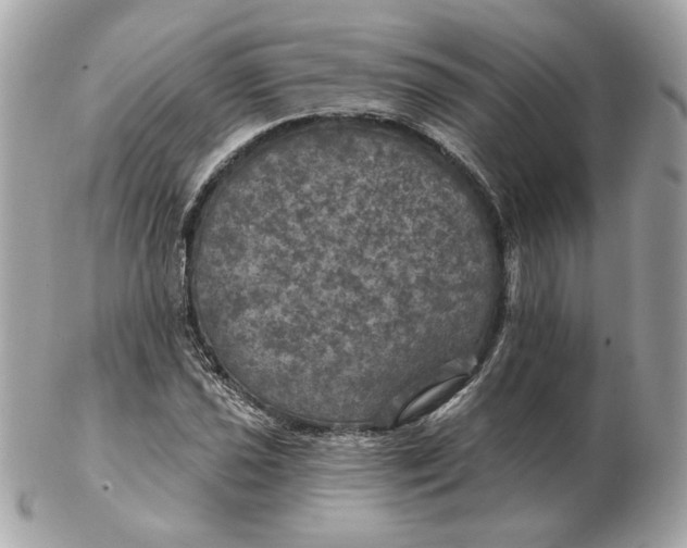 X0000102491021200808291644