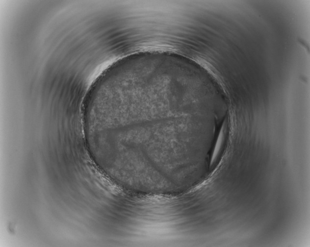 X0000102491022200808291644