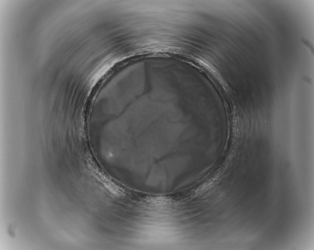 X0000102491023200808291644