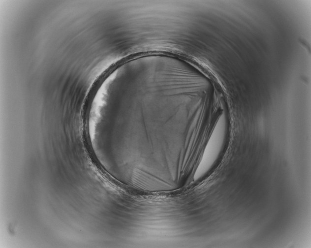 X0000102491024200808291644