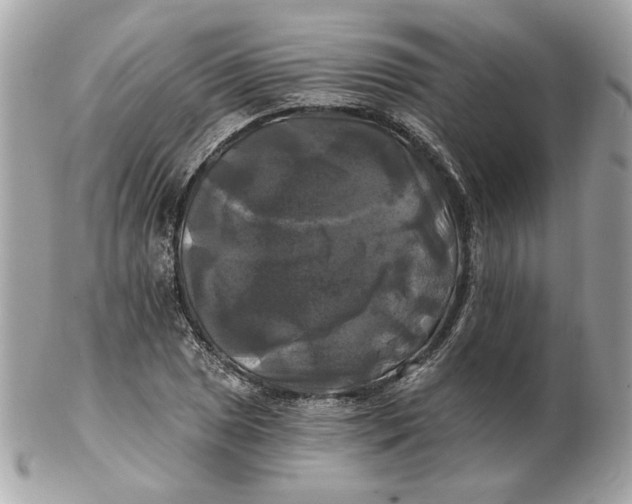 X0000102491025200808291644