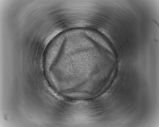 X0000102491026200808291644