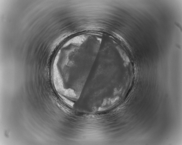 X0000102491027200808291644