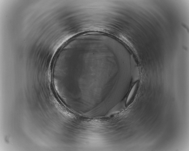 X0000102491028200808291644