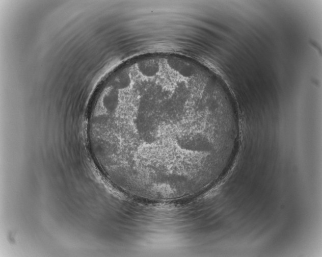 X0000102491029200808291644