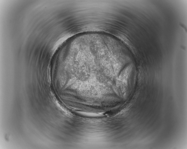 X0000102491030200808291644