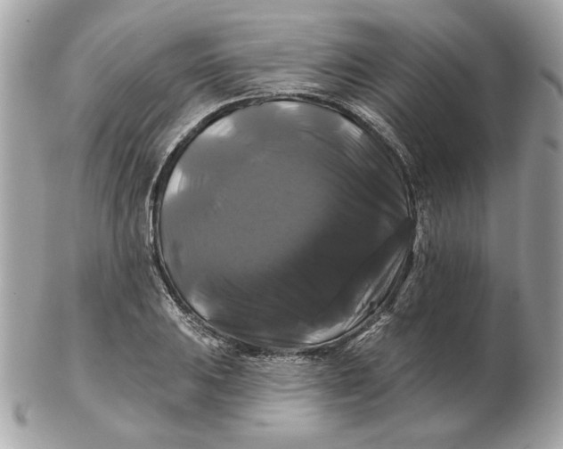 X0000102491031200808291644