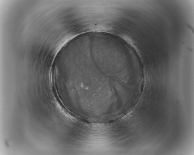 X0000102491032200808291644