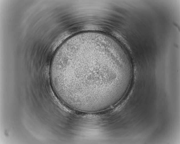 X0000102491033200808291644