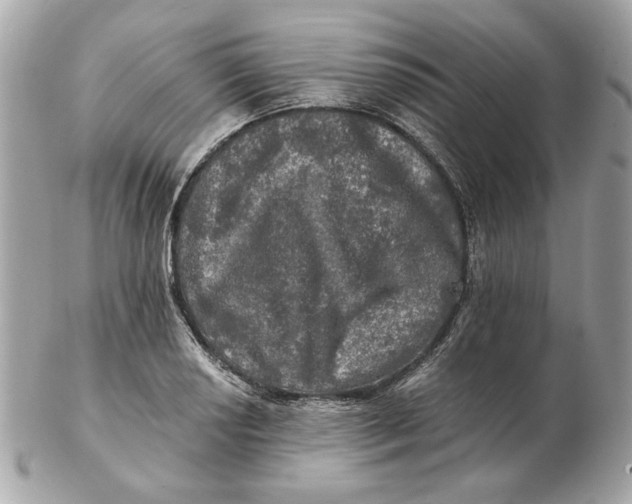 X0000102491034200808291644