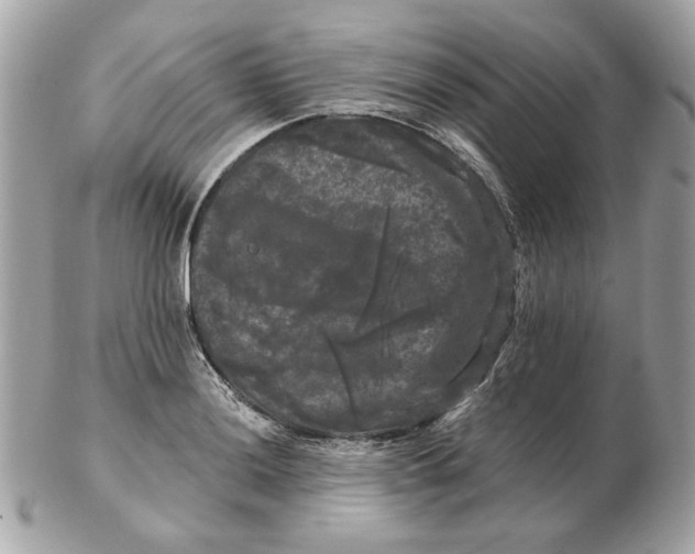 X0000102491036200808291645