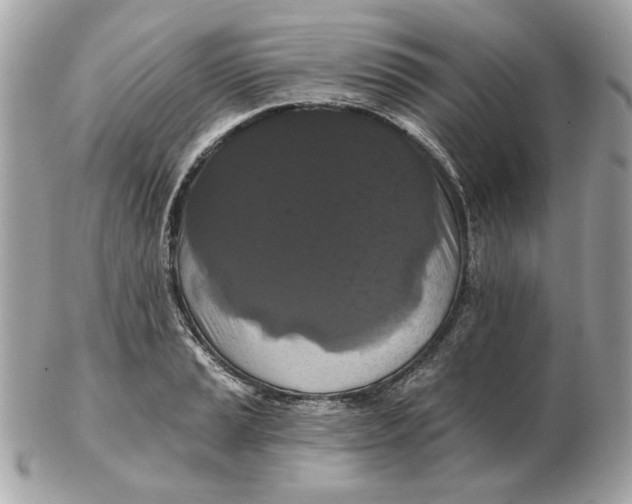 X0000102491037200808291645