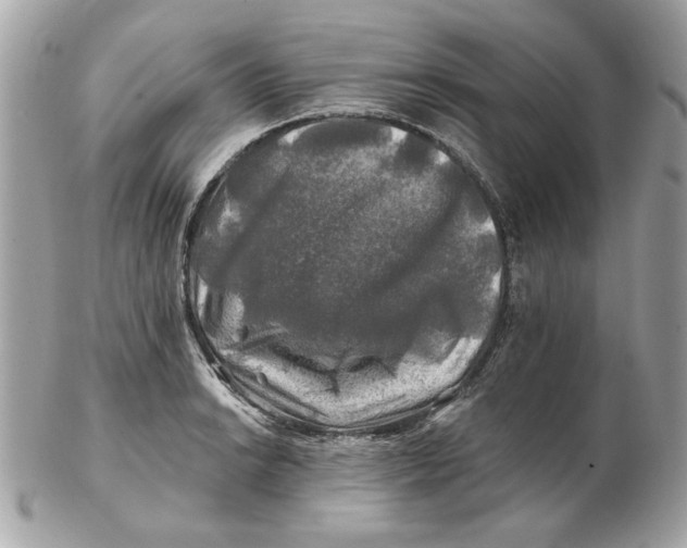 X0000102491038200808291645