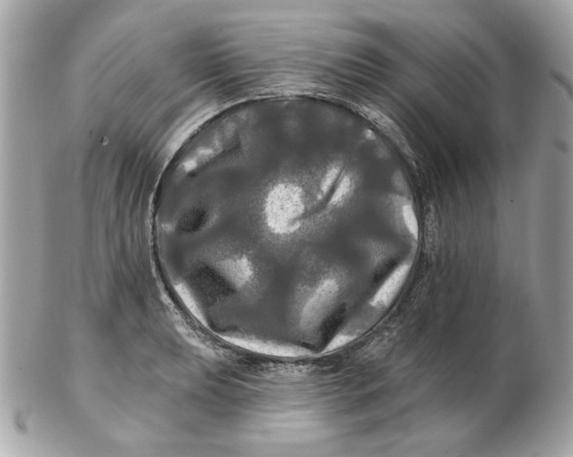 X0000102491039200808291645