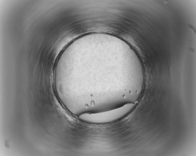 X0000102491040200808291645