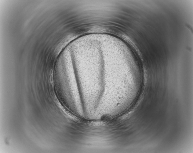 X0000102491041200808291645