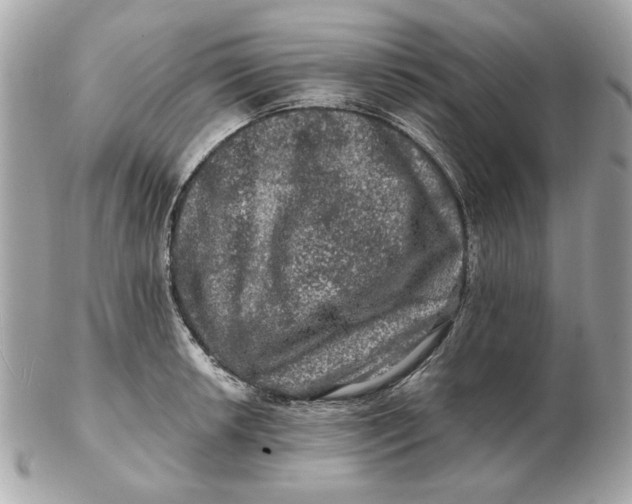 X0000102491042200808291645