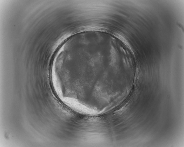 X0000102491043200808291645