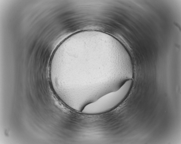 X0000102491044200808291645