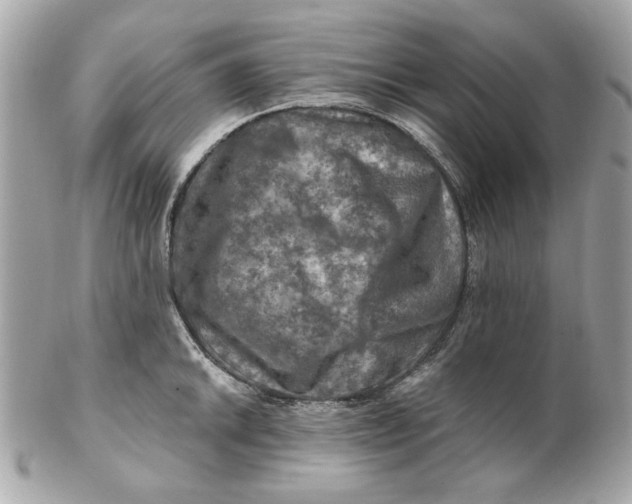 X0000102491046200808291645