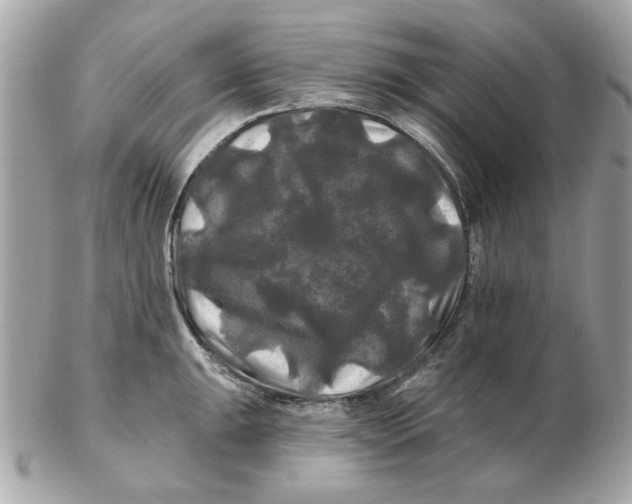 X0000102491047200808291645