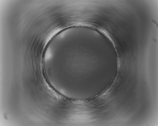 X0000102491048200808291645