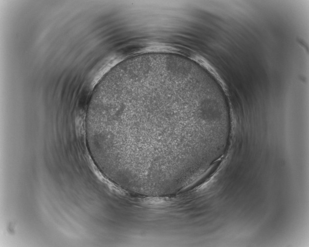 X0000102491049200808291645