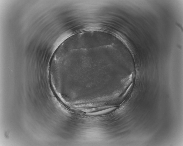 X0000102491050200808291645