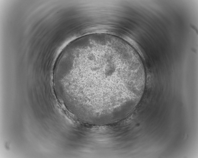 X0000102491051200808291645