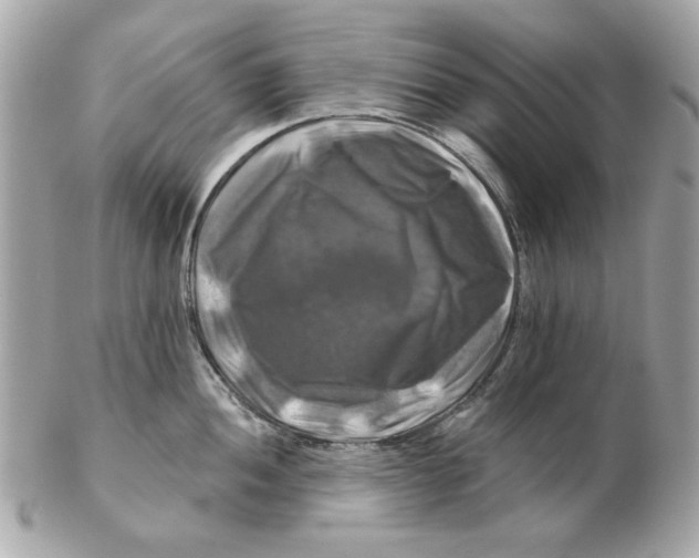 X0000102491052200808291645