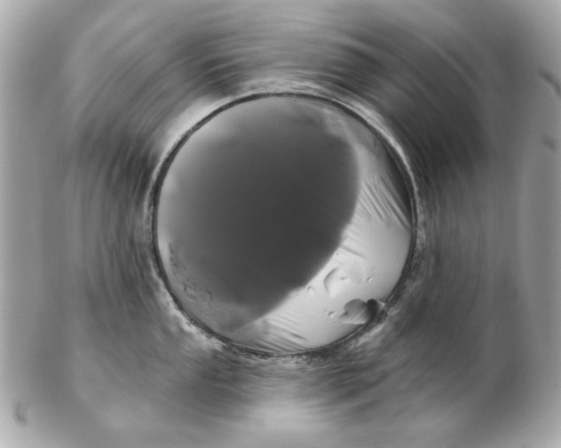 X0000102491053200808291645