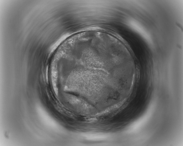 X0000102491054200808291645