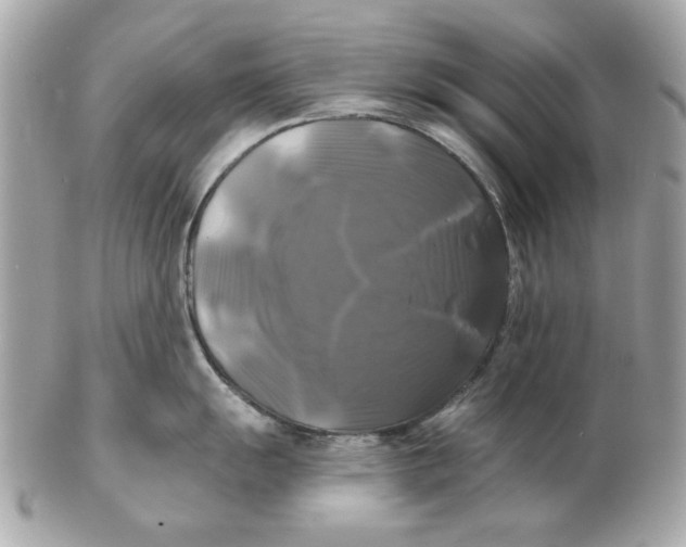 X0000102491055200808291645