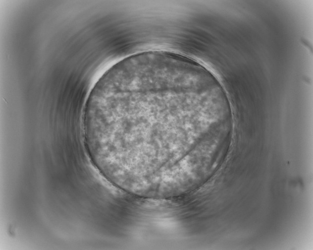 X0000102491056200808291645