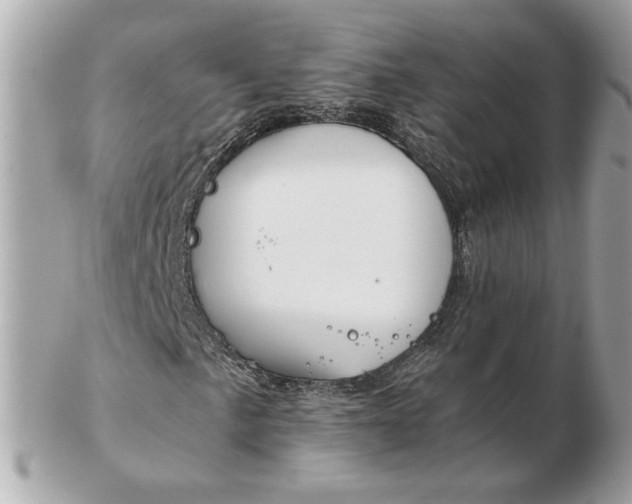 X0000102491057200808291644