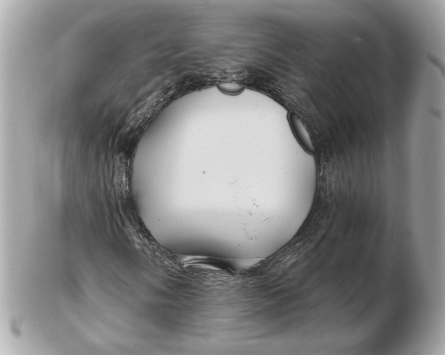 X0000102491058200808291644